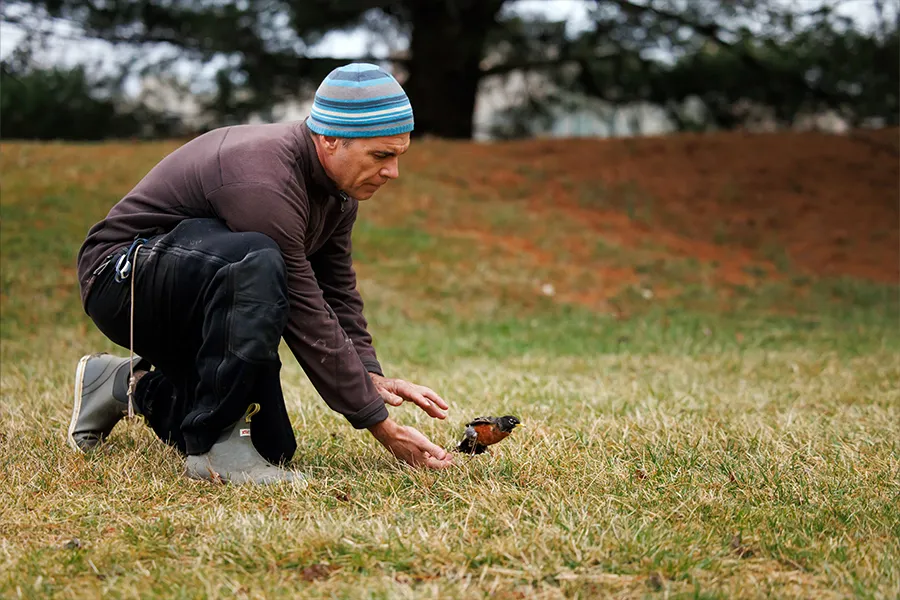 A man crouches on grass, interacting with a small bird