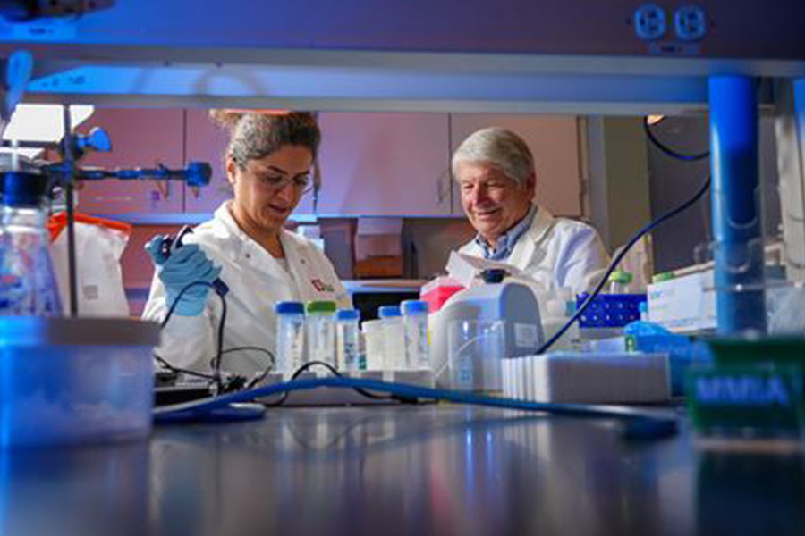 Two researchers work together in a lab filled with beakers.