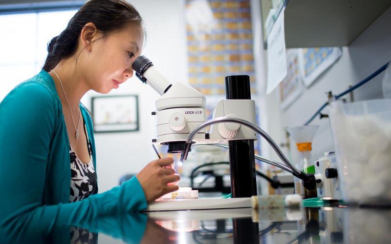 Female student looking through a microscope in a lab.