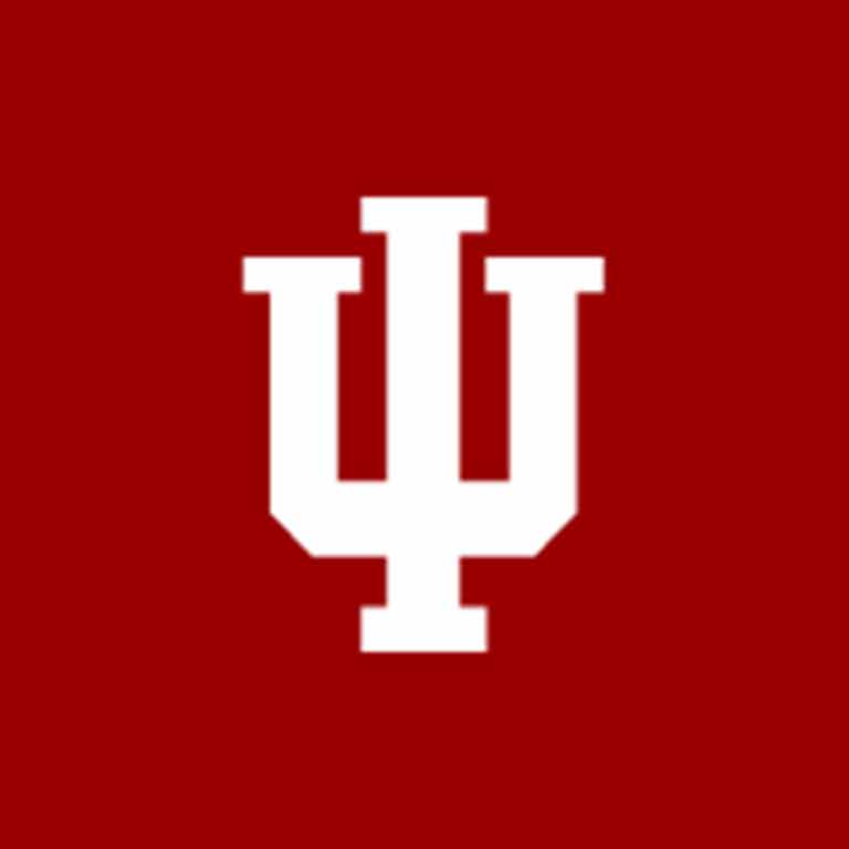 iu avatar