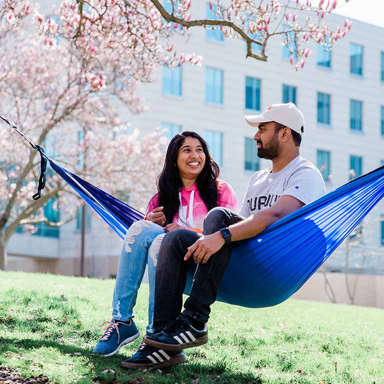 hammock magnolias