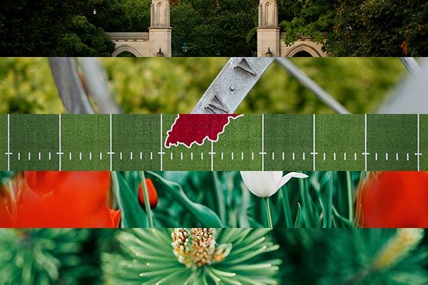 Five cropped images appear all with a range of green tones. The five images from top to bottom: dark green trees surround the sample gates, light green appears around a metal scultpure, a range of green turf from the football stadium, green stems fill the frame with some red and white tulips blooming, a pine tree extends toward the camera.