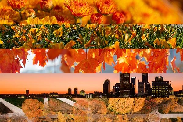 Five cropped images appear all with a range of orange tones. The five images from top to bottom: orange mums, a bed of orange day lilies bloom, bright orange leaves from a tree, an orange gradient sunset behind the Indianapolis skyline, an aerial view of orange and yellow trees changing in the fall.
