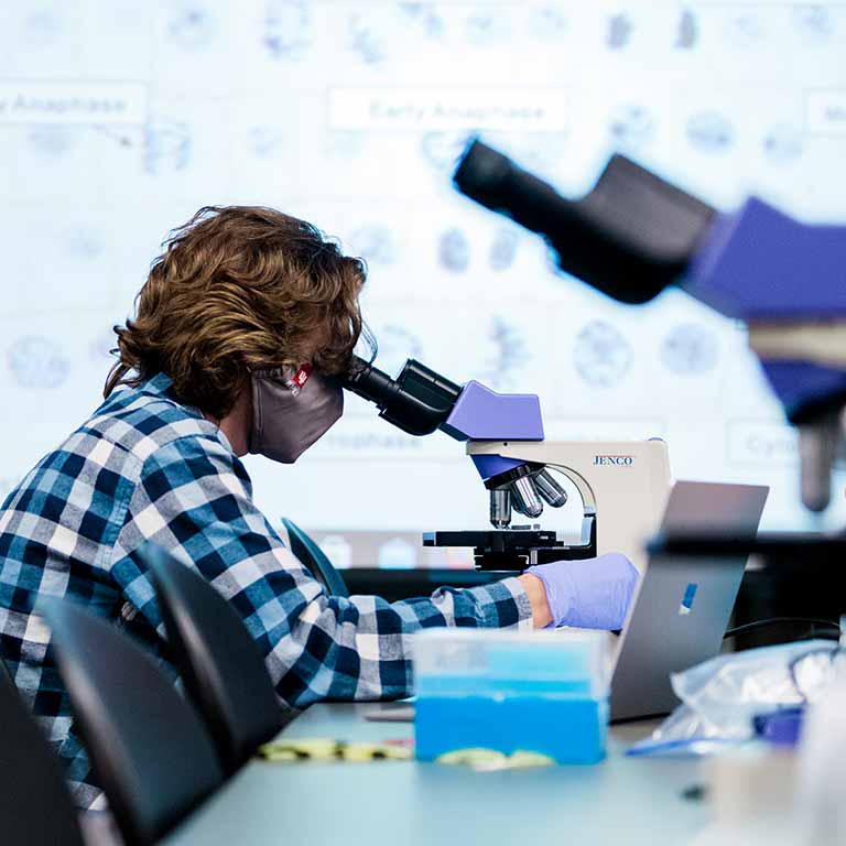 topical microscope