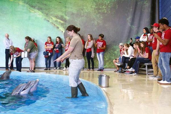 Students participating in a dolphin training exercise.