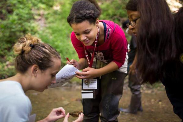 Environmental science students conducting research in a stream.