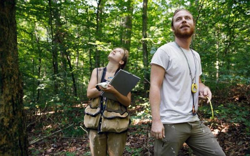 Two IU students conducting experiments in the forest.