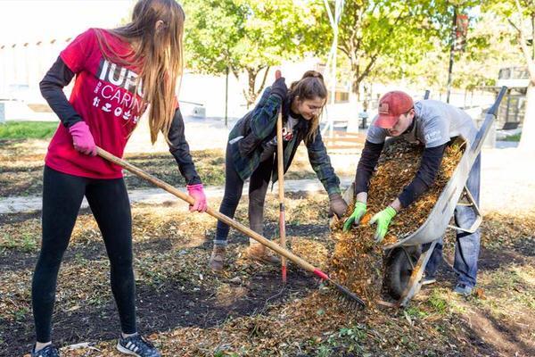 IUPUI students raking leaves for a service project.