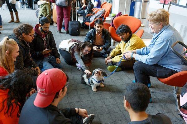 Students at the IUPUI Campus Center gather around a dog for a pet therapy session.