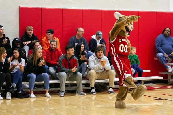 IU Kokomo mascot cheering on team.