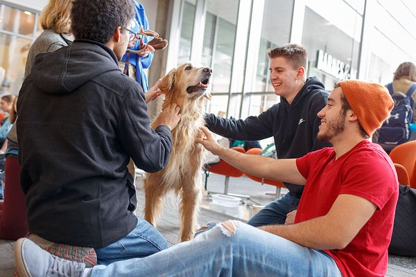 A group of students sits on the floor, smiling as they pet a fluffy tan dog in the IUPUI Campus Center.