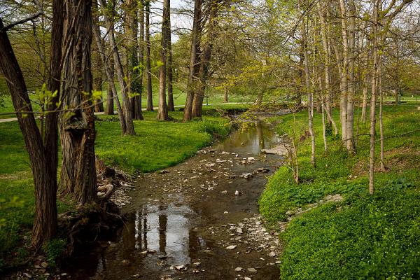 A stream running through a grassy, wooded area of the Bloomington campus.